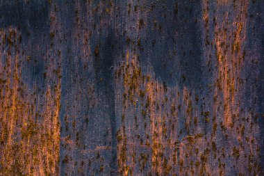 Paslı metal detaylı yapısı