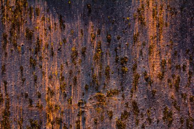 Paslı metal detaylı yapısı