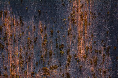 Paslı metal detaylı yapısı