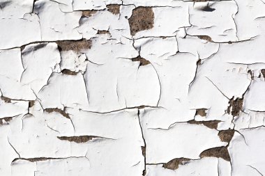 Grunge arka plan - kırık boya ile ahşap