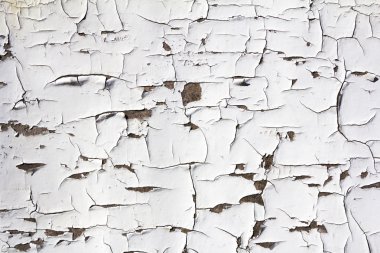 Grunge arka plan - kırık boya ile ahşap