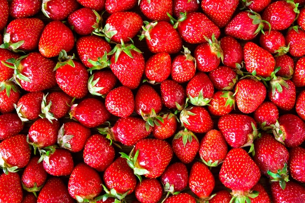 Taze çilek arkaplanı