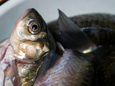 Çiğ haç yığının içinde yatıyor