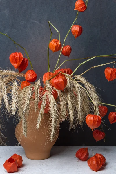 Natürmort, tahıllar ve cape üzerinden güzel bir buket 