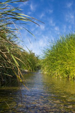 Güzel nehir vadisi, Suudi Arabistan, Al taif 'te.
