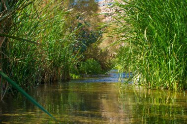Güzel nehir vadisi, Suudi Arabistan, Al taif 'te.