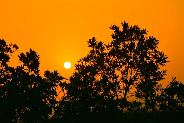 Nasce Sol Arábia Saudita Com Céu Laranja Silhuetas — Fotografia de Stock