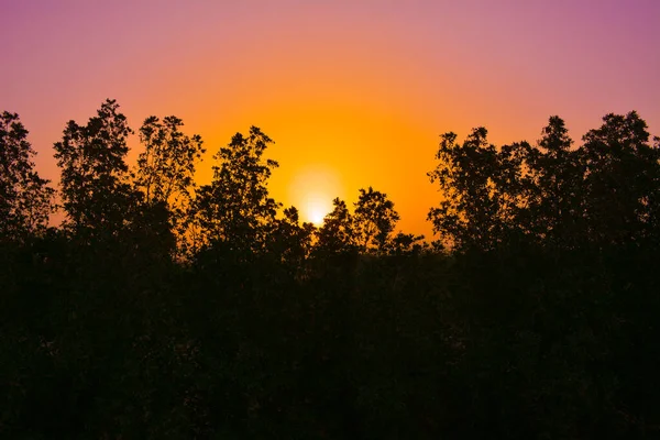 Nasce Sol Arábia Saudita Com Céu Laranja Silhuetas — Fotografia de Stock
