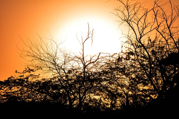 Nasce Sol Arábia Saudita Com Céu Laranja Silhuetas — Fotografia de Stock