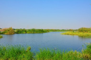 Güzel yeşil vadi gölü