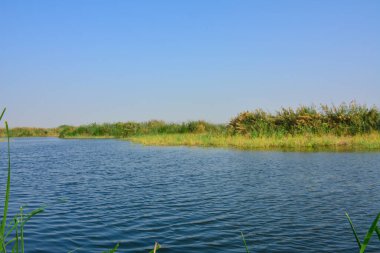 Jeddah 'daki yeşil vadi gölü.