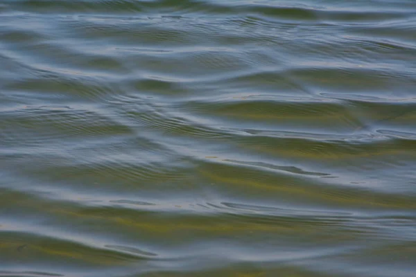 Onda Superficie Agua Ondulación — Foto de Stock