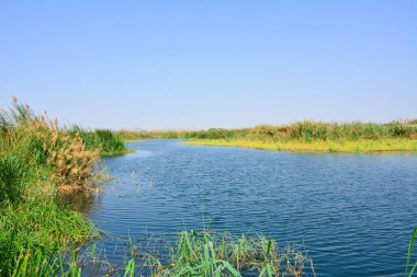 Yeşil vadi çöl gölü