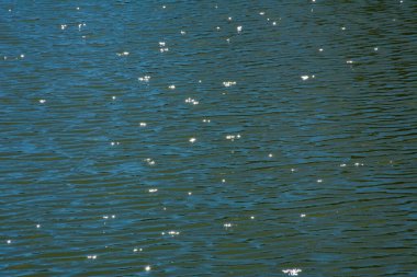 Güneş ışınları su yüzeyindeki yıldız etkisini yansıtıyor