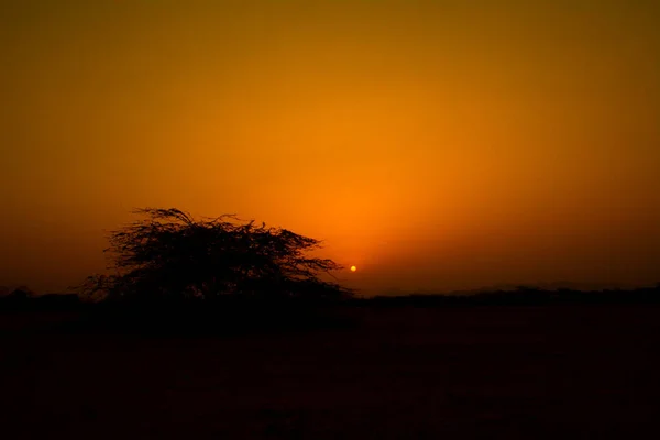 Lever Soleil Avec Arbre Silhouette — Photo