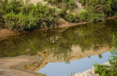 Jeddah 'daki çöl gölü.