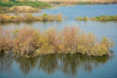 Yeşil vadi çöl gölü, Suudi Arabistan