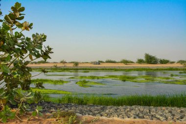 yeşil vadi nehri, Jeddah - Suudi Arabistan