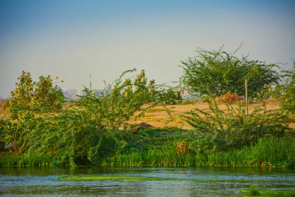 green valley river, Jeddah - Saudi arabia