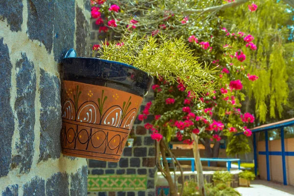 Цветочная Ваза Каменной Стене Джидда Саудовская Аравия — стоковое фото