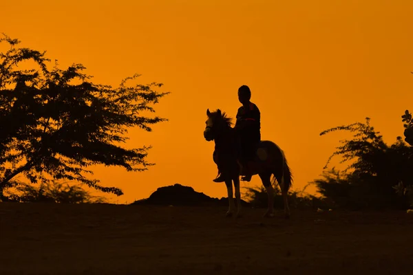 落日背景下的骑马者轮廓D — 图库照片