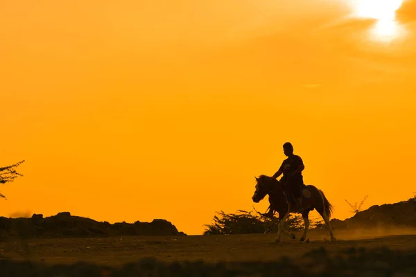 日没の背景に馬のライダーのシルエット — ストック写真