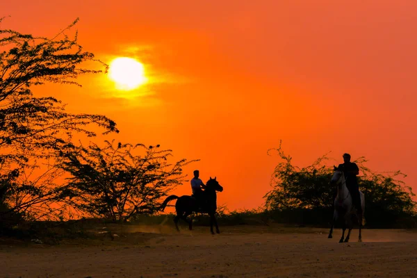 Silueta Acción Del Jinete Fondo Del Atardecer — Foto de Stock