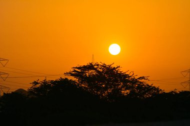 Gün batımı ağaçların siluetini gördü