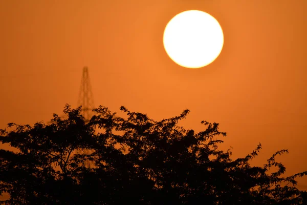 Atardecer Visto Árboles Silueta — Foto de Stock