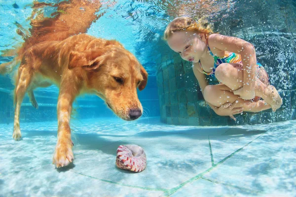 Niño con buceo de perros bajo el agua en piscina —  Fotos de Stock