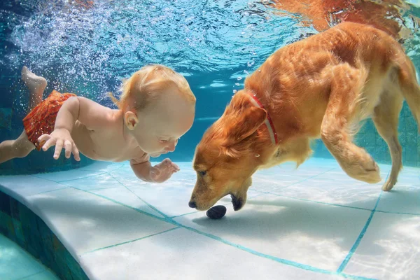 Klein kind onderwater zwemmen en spelen met de hond — Stockfoto