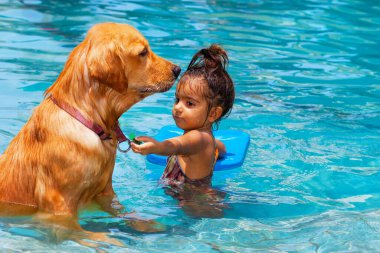 Küçük çocuk eğleniyor, altın labrador av köpeğini yüzme havuzunda eğitiyor. Aile hayvanlarıyla çocuk oyunları. Popüler köpek eş gibi ürer..