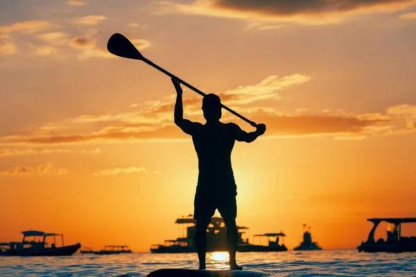 Paddle Boarder Actif Silhouette Noire Coucher Soleil Jeune Sportif Pagayant — Photo