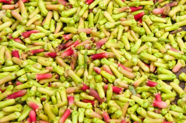 Taze karanfil tomurcukları