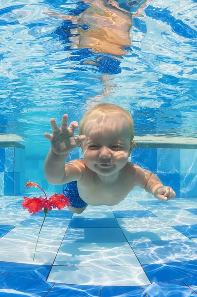 Child swimming underwater for a red flower in the pool — Stock Photo, Image