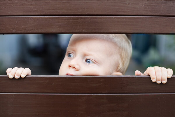Little baby boy looking out through the fence