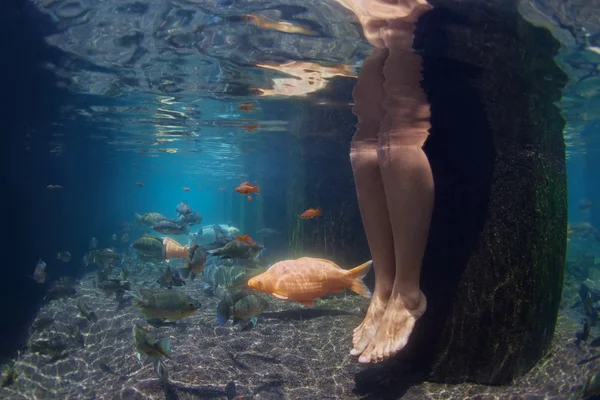 Imagens subaquáticas de pernas femininas e koi peixes na lagoa — Fotografia de Stock