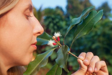Kadın koklama karanfil ham sopa ve çiçekler