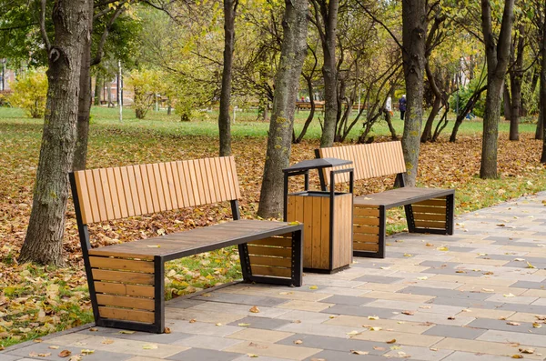 秋の公園で空の木製のベンチ 秋の雰囲気 市内公園を歩く — ストック写真