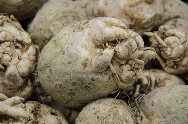 Close-up of ugly celery root on counter farm market. Popular and affordable vegetables in the supermarket. Organic vegetables for vegetarian food.