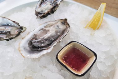 Ezilmiş buz ve limon dilimli büyük taze istiridye tabağı. İstiridye çiftliğinde tadımlık. Deniz ürünleri lokantasında istiridyeli hazır yemek.