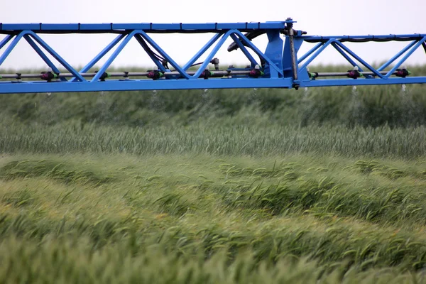 Sprayer behandelt Weizen — Stockfoto