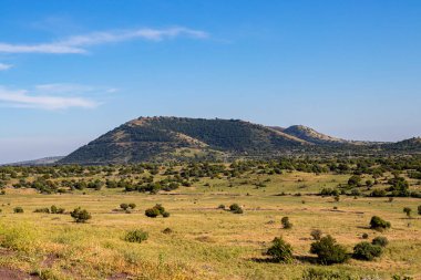 mount Ben-tal is green and beautiful