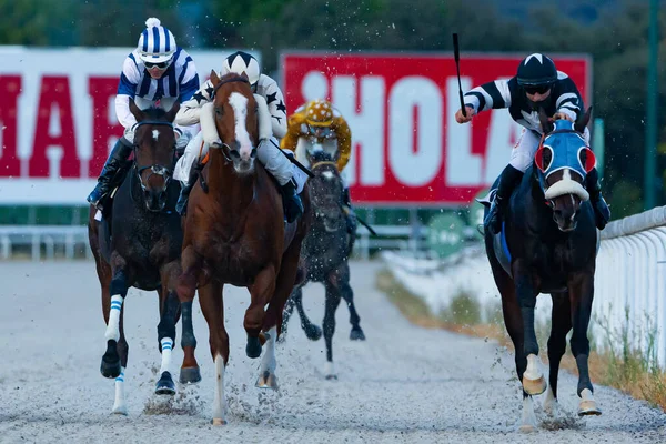 Madrid Espanha Outubro 2020 Corridas Cavalos Terrestres Realizadas Hipódromo Zarzuela — Fotografia de Stock