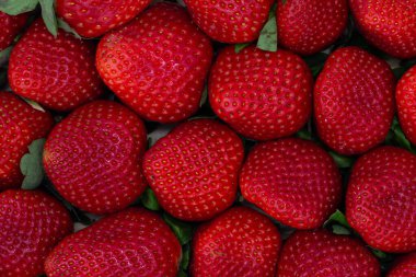 Beyaz arka planda yeşil saplı kırmızı çilekler. Taze meyve. Sağlıklı yemek.