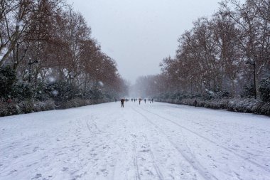Madrid, İspanya... 9 Ocak 2021 Madrid 'deki Retiro Parkı' nın bahçeleri ve gezinti yerleri karla kaplı. Fırtına Filomena. Madrid 'de büyük kar yağışı