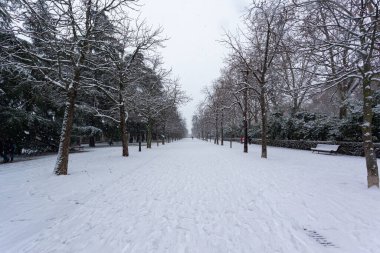 Madrid, İspanya... 9 Ocak 2021 Madrid 'deki Retiro Parkı' nın bahçeleri ve gezinti yerleri karla kaplı. Fırtına Filomena. Madrid 'de büyük kar yağışı