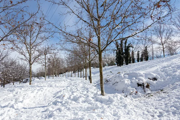 Madrid Spain January 2021 Parks Madrid Frozen Snow Storm Filomena — Stock Photo, Image