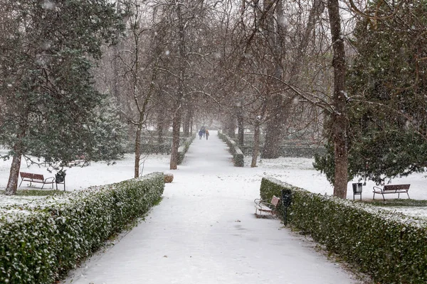 Madrid España Enero 2021 Jardines Paseos Del Parque Del Retiro — Foto de Stock