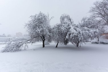 Madrid, İspanya - 9 Ocak 2021 Madrid Parkları kar altında, Fırtına Filomena. Madrid 'de şiddetli kar yağışı var. Kar kaplı arabalar.